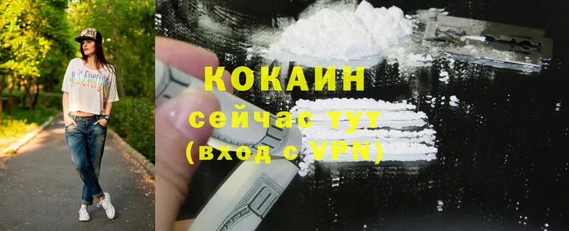 Cocaine Fish Scale  Зубцов 