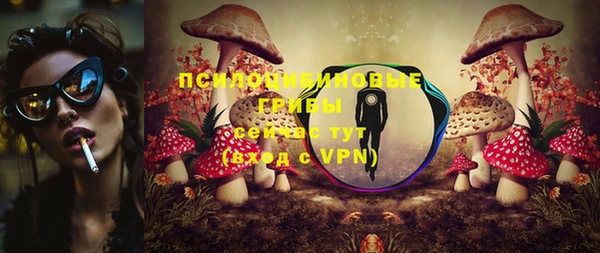 ALPHA-PVP Верхний Тагил